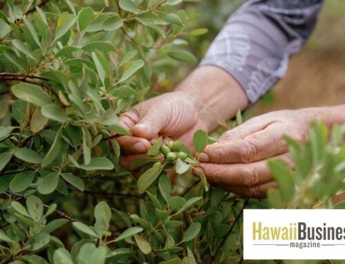 Hawaii Business Magazine – Restoring ‘Āina, While Visiting ‘Āina